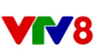 VTV8 LOGO